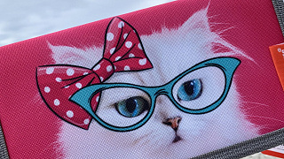 Пенал-книжка с наполнением ErichKrause® 110x205x25мм Cool Cat